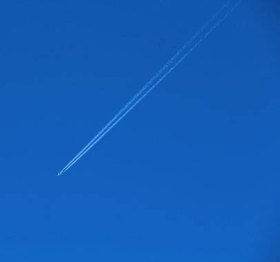 小菅トラウトガーデン 釣果