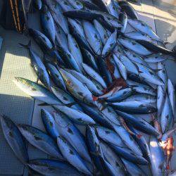 ふじしめ丸 釣果