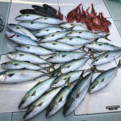 ふじしめ丸 釣果