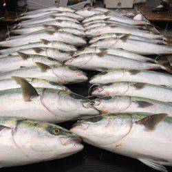 幸風（さちかぜ） 釣果