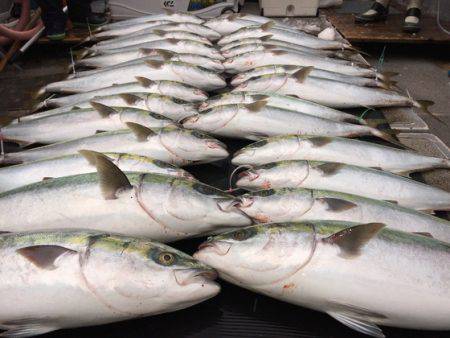 幸風（さちかぜ） 釣果