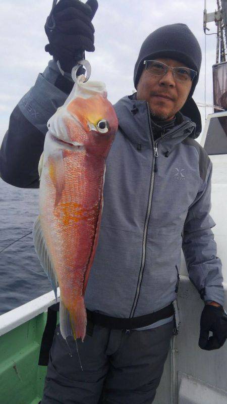 遊漁船 新鋭丸 釣果