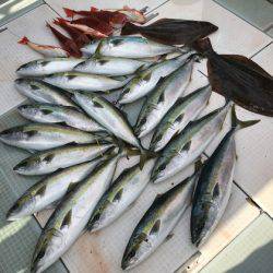 ふじしめ丸 釣果