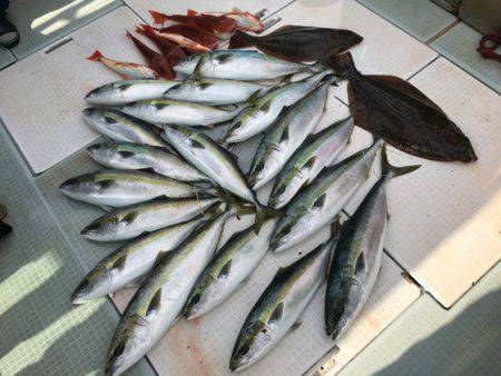 ふじしめ丸 釣果