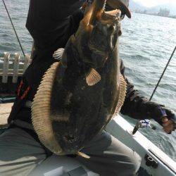 フィッシングガイド りょう 釣果