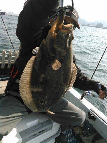 フィッシングガイド りょう 釣果