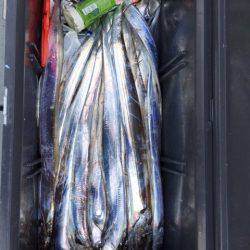 遊漁船高橋 釣果