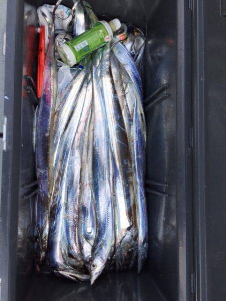 遊漁船高橋 釣果