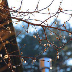 小菅トラウトガーデン 釣果