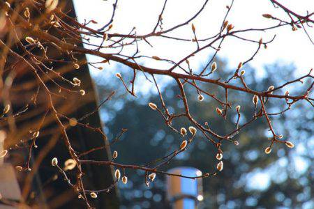 小菅トラウトガーデン 釣果