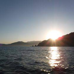 BlueNote Fishing Taxi 釣果