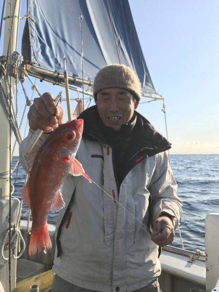 たいし丸 釣果