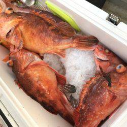 寿裕 (YOSHIHIRO) 釣果