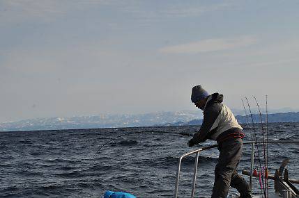 八海丸 釣果