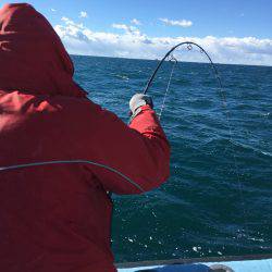 松鶴丸 釣果