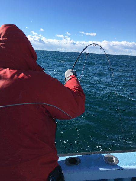 松鶴丸 釣果