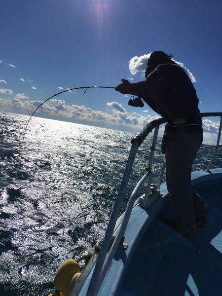 松鶴丸 釣果