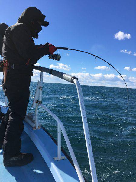 松鶴丸 釣果