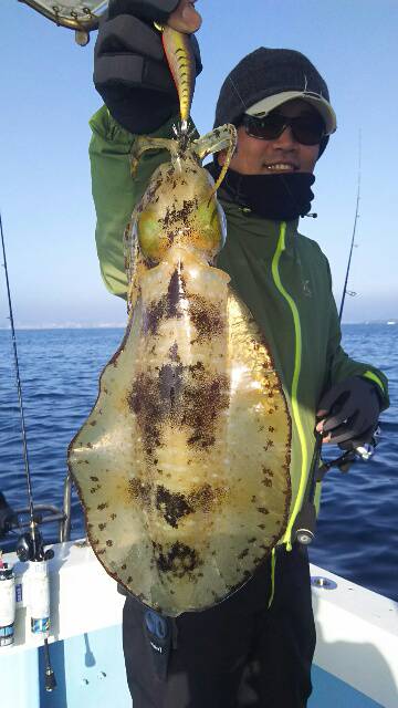 海晴丸 釣果