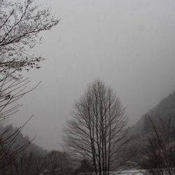 小菅トラウトガーデン 釣果