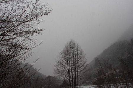 小菅トラウトガーデン 釣果