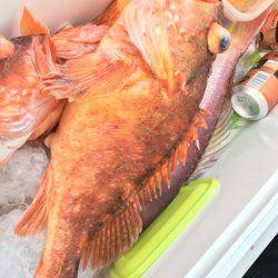 寿裕 (YOSHIHIRO) 釣果