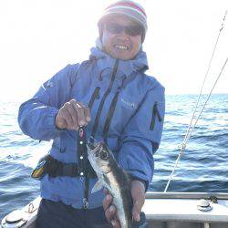 たいし丸 釣果