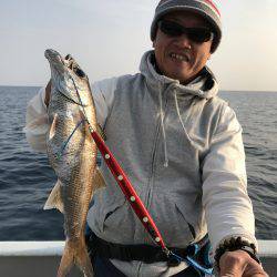 たいし丸 釣果