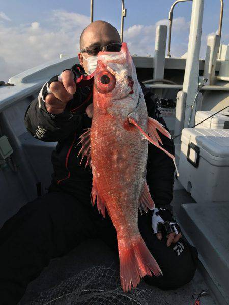 たいし丸 釣果