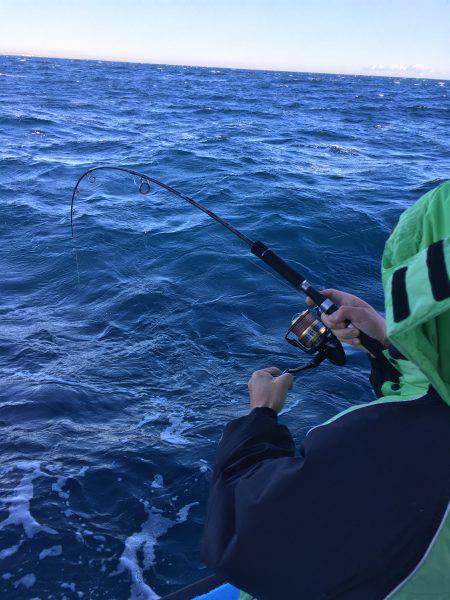 松鶴丸 釣果