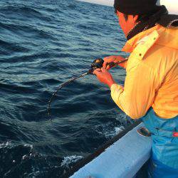 松鶴丸 釣果