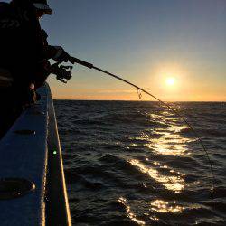 松鶴丸 釣果