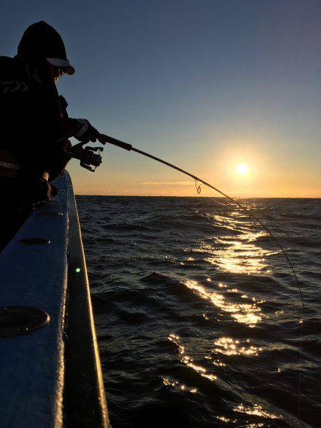 松鶴丸 釣果