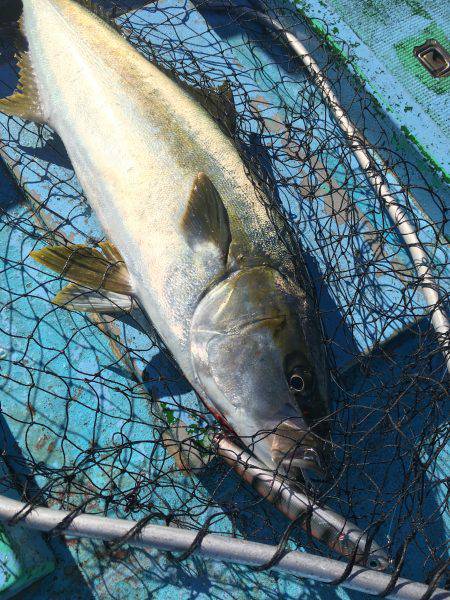 松鶴丸 釣果