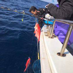 番匠高宮丸 釣果