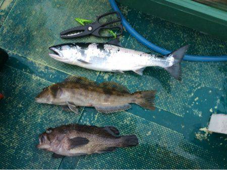 ANTARES(アンタレス) 釣果