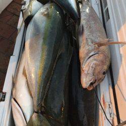 幸風(さちかぜ) 釣果