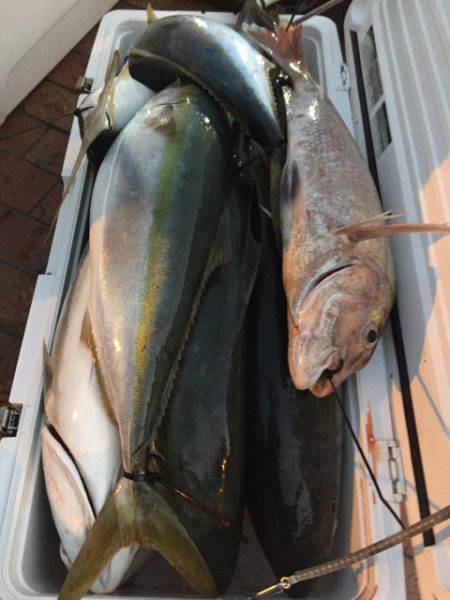 幸風(さちかぜ) 釣果