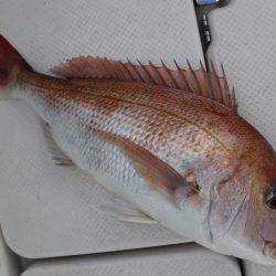 BlueNote Fishing Taxi 釣果