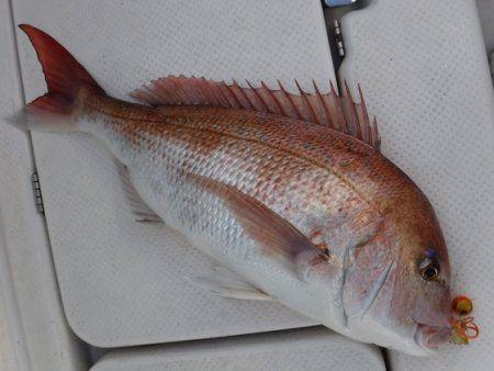 BlueNote Fishing Taxi 釣果