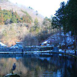 小菅トラウトガーデン 釣果