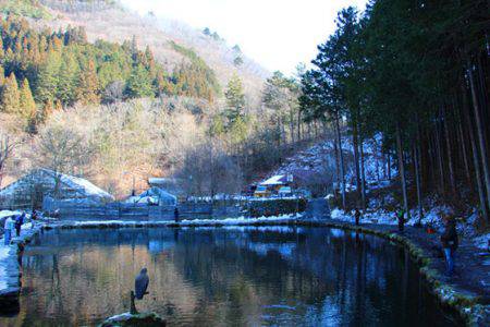 小菅トラウトガーデン 釣果