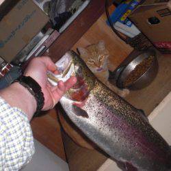 高萩ふれあいの里フィッシングエリア 釣果