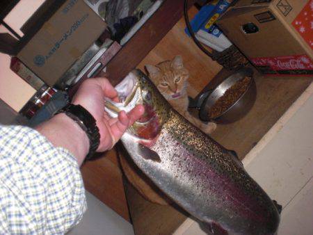 高萩ふれあいの里フィッシングエリア 釣果