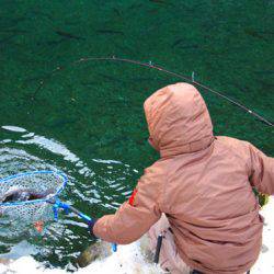 小菅トラウトガーデン 釣果