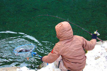 小菅トラウトガーデン 釣果