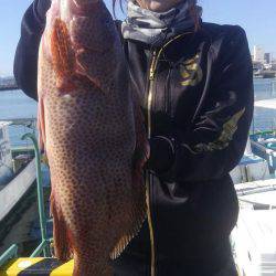 遊漁船 新鋭丸 釣果