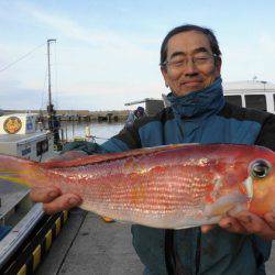 大進丸(新潟) 釣果