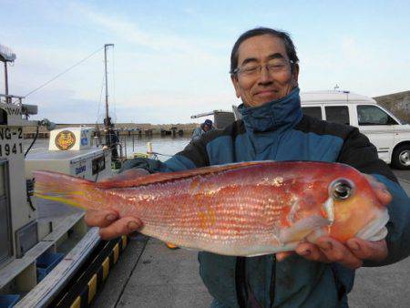 大進丸(新潟) 釣果