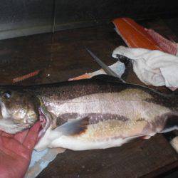 高萩ふれあいの里フィッシングエリア 釣果